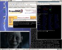 MPlayer on FreeBSD
